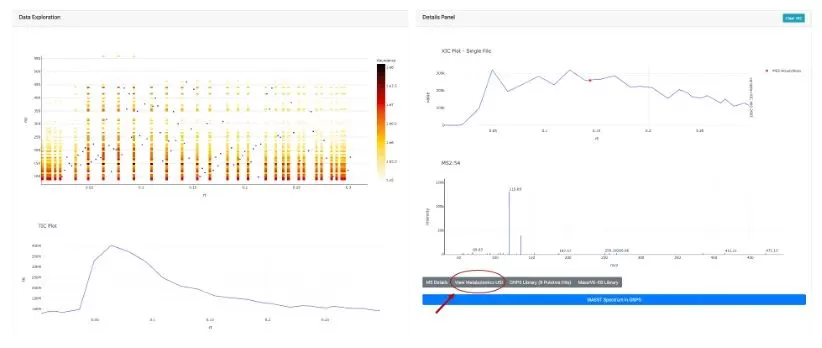 microbeMASST The Ultimate Guide to Identifying Microbial Metabolites figure2B